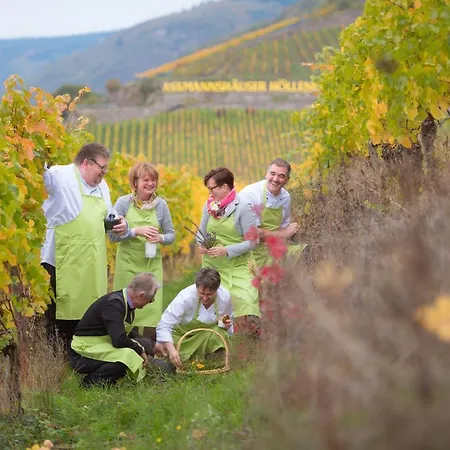 Hotel Zwei Mohren 3*