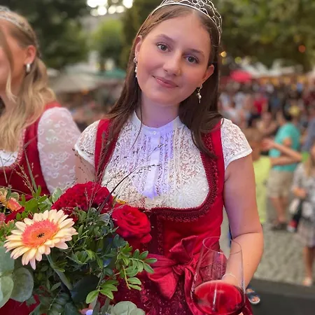 Zwei Mohren 3* Rüdesheim nad Renem