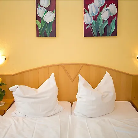 Zwei Mohren 3* Rüdesheim nad Renem