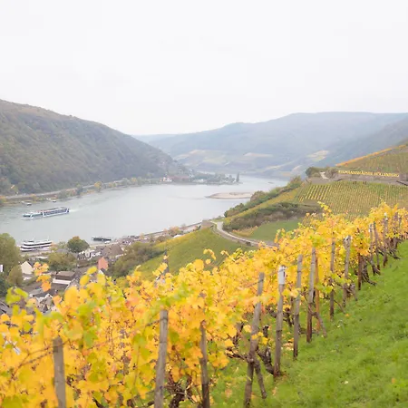 Zwei Mohren Rüdesheim nad Renem