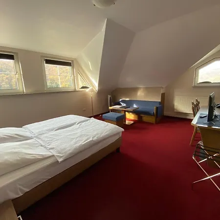 Hotel Zwei Mohren 3*