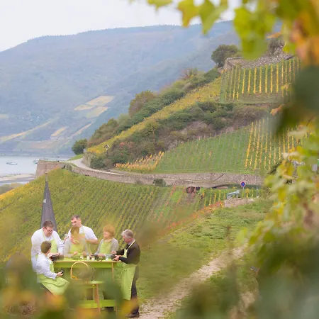 Hotel Zwei Mohren 3*