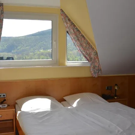 Zwei Mohren 3* Rüdesheim nad Renem