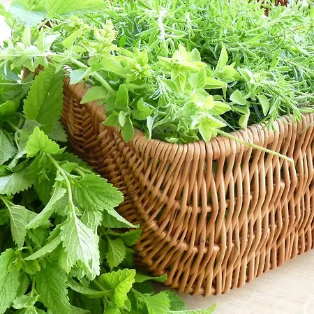 Zwei Mohren Szálloda 3*