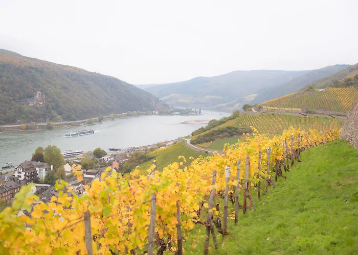 Zwei Mohren Rüdesheim am Rhein