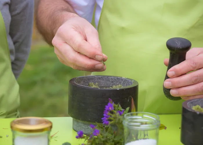 Hotel Zwei Mohren 3*