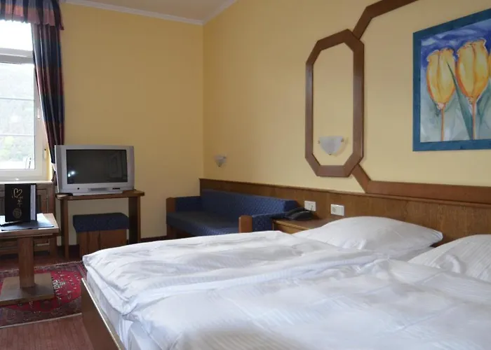 Zwei Mohren 3* 로데스하임암라인