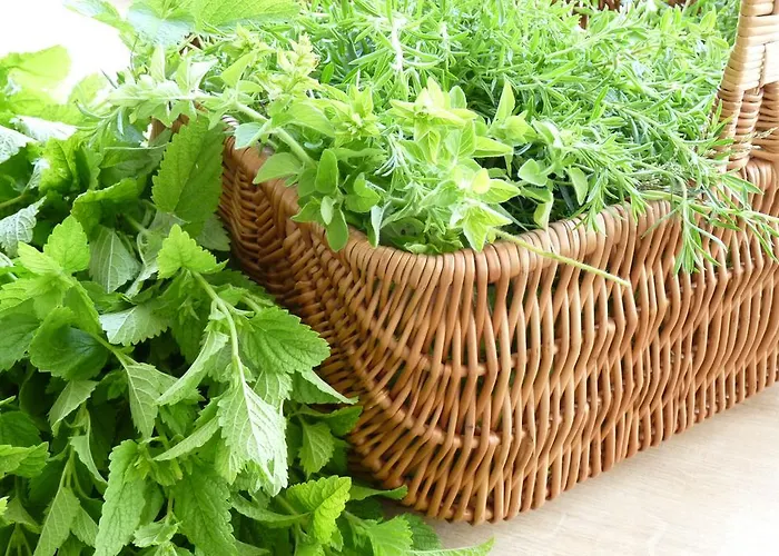 Zwei Mohren Hotel 3*